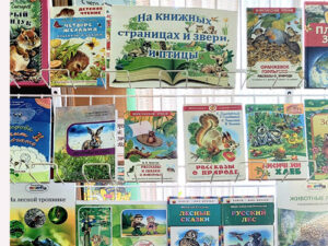 Экологическая интерактивная программа «Эколята-дошколята – друзья и защитники природы»