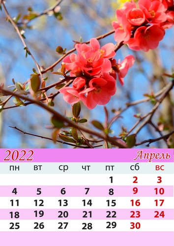 Литературный календарь: апрель