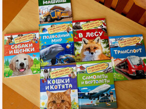 Экологическая интерактивная программа «Эколята-дошколята – друзья и защитники природы»