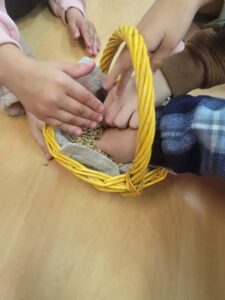 Интерактивно-познавательная программа «От зернышка до хлебушка»