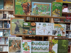 Урок безопасности «Отправляемся в лес – как же много в нём чудес»