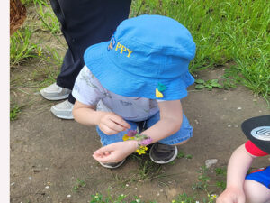 Экологическая интерактивная программа «Эколята-дошколята – друзья и защитники природы»