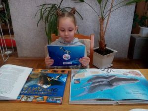 Марафон интересных фактов «Удивительный мир китов и дельфинов»