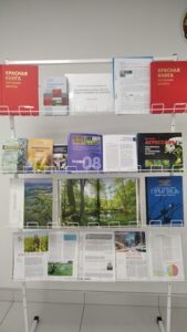 Единый день информирования «Экологическая культура – ответственность каждого»