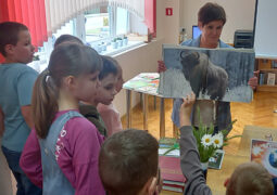 День информации «Сохраним природу, сохраним себя»